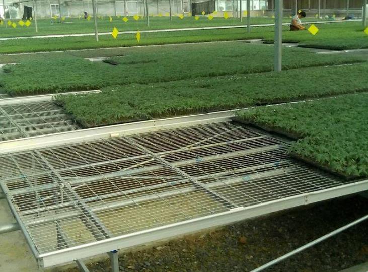 <a href='http://huanjuyijia.cn/miaochuangsheshi/199.html'target='_blank'>育苗床</a>.jpg