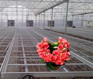 增茂公司的產(chǎn)品性?xún)r(jià)比非常高 增茂公司的產(chǎn)品性?xún)r(jià)比非常高